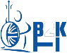 b2k-holding-logo-2